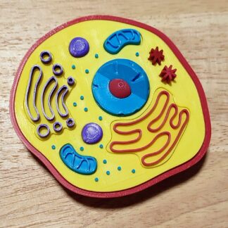 Puzle célula animal