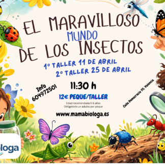 Sábados. El maravilloso mundo de los insectos