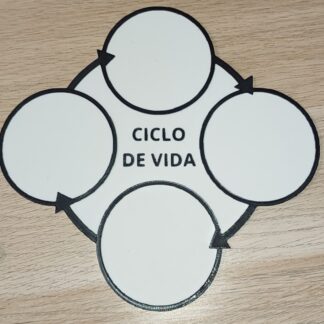 Base para ciclos vitales