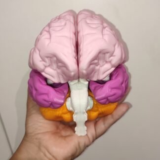 Cerebro (puzle)